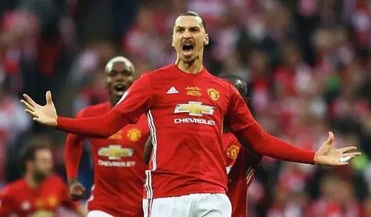 这些组织表 这些组织表